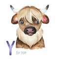 Cute Yak for Y letter.