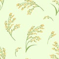 Proso Millet plant on green background seamless pattern. Vector illustration of field of cereal spikes