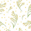 Seamless pattern with cereal plant Proso millet. Vector illustration of ears of millet and yellow grains