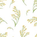 Ears of proso millet on white background seamless pattern. Vector illustration of cereal plants