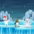 Polar bears and penguin on an iceberg at north pole Royalty Free Stock Photo