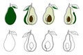 Set of the whole avocado and its halves drawn in line art style. Contours with and without colored substrates on a white backgroun Royalty Free Stock Photo