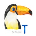 Cute Toucan for T letter.