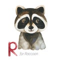 Cute Raccoon for R letter.