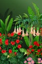 Beautiful Tropical Plants Cartoon Set Royalty Free Stock Photo