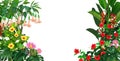Beautiful Plants Cartoon Set Royalty Free Stock Photo