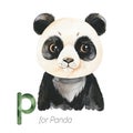 Cute Panda for P letter.