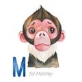 Cute Monkey for M letter.