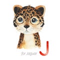 Cute Jaguar for J letter. Royalty Free Stock Photo