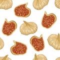 Dried figs Isolated on white background. Seamless pattern with dried fruits whole and half. Vector illustration of  natural sweets Royalty Free Stock Photo