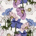 Seamless pattern of vintage Anemone flowers. Floral background. Royalty Free Stock Photo