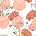 Seamless pattern of vintage coral Ranunculus flowers.