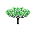 Decorative tree logo design for ideas Royalty Free Stock Photo