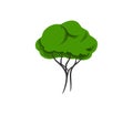 Decorative tree logo design for ideas Royalty Free Stock Photo