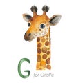 Cute Giraffe for G letter.