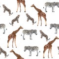 Wild animals giraffe, cheetah, zebra in savannah. Watercolor style  Zoo seamless pattern. Royalty Free Stock Photo