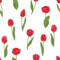 Red tulips seamless pattern. Vector illustration of beautiful spring flowers Royalty Free Stock Photo