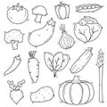 Set of vegetables doodle vector illustration in sketch hand drawn style Royalty Free Stock Photo
