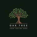 Tree logo design vector template.tree with root icon Royalty Free Stock Photo
