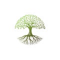 Tree logo design vector template.tree with root icon Royalty Free Stock Photo