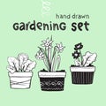 Home plants gardening set. Hand drawn spring flowers with flower pots. Landscaping of the workspace. Floral business logo. Vector Royalty Free Stock Photo