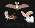 Bat Spotted Species Cartoon Illustration