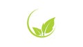 Green Ecology Leaf Logo Template - Green Fresh Health Eco Logotype Organic Food Natural Health Care