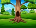 A big hollow tree in the middle of the nature Royalty Free Stock Photo