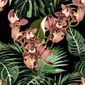 Tropical beautiful flowers pretty pattern. Seamless cute orchids and tropical palm leaves background. Royalty Free Stock Photo