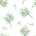 Green branches of dill seamless pattern. Vector illustration of greenery, aromatic herbs