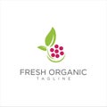 Leaf Grape Logo . Grapes leaves logo template design vector Print Illustrations .