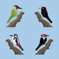 A collection of four cute woodpeckers