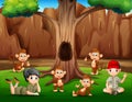 A boy and girl relaxing under tree with monkeys Royalty Free Stock Photo