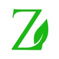 Beautiful Initial letter Z leaf