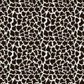 Print. Pattern. Black spots, different shapes on a white background. Royalty Free Stock Photo