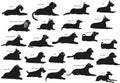 23 Dog Silhouettes