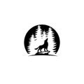 Wolf standing on the stone and Forest spruce trees