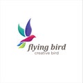 Flying Bird Logo Design Creative Color Sign .Fliying Bird colibri hummingbird logo Colorful Design Illustration .