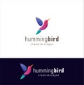 Humming Bird Logo Design Creative Color Sign. Fliying Bird Colorful Logo Design Illustration .Fliying Bird colibri hummingbird lo Royalty Free Stock Photo