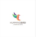 Humming Bird Logo Design Creative sign . Colorful colibri Bird Logo Icon Design . Fliying Bird Colorful Logo Design Illustration