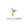 Humming Bird Logo Design Creative Color Sign . Fliying Bird Colorful Logo Design Illustration .Fliying Bird colibri hummingbird lo Royalty Free Stock Photo