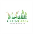 Lawn Care Logo . Turf Logo Template . Lawn Organic Nature Logo Design Icon . Grass Logo Design Vector Stock