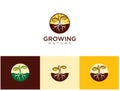 Seed Grow Logo Vector Illustration . Park Seed, Vegetable Seeds, Flower Seeds, Plants, Bulbs, Trees Royalty Free Stock Photo