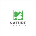 Maple leaf logo. Vector leaves of maple trees, a symbol of Canada country and nature. Vector logo template . Leaf Canada Plant Log Royalty Free Stock Photo