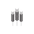 Wheat ears linear icon for business, agriculture, beer, bakery, Black Line illustration sign on white background. Gluten free Royalty Free Stock Photo