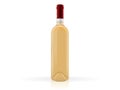 Transparent wine bottle  on white background Royalty Free Stock Photo