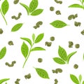 Fresh and dried green tea leaf isolated on white background. Seamless pattern with leaves of tea plant. Royalty Free Stock Photo