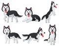 Set of funny siberian husky dog cartoon Royalty Free Stock Photo