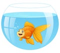 Cute golden fish cartoon in the aquarium Royalty Free Stock Photo