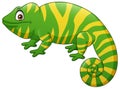 Cute chameleon cartoon